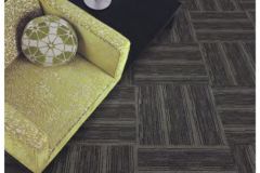 Roomster-GM-979-N8009